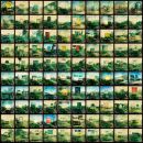 One Hundred Trucks